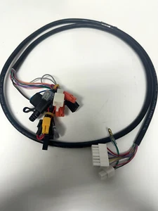 Arnés de cables principal Golden Buzzaround Series - Imagen 1 de 4