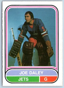Joe Daley 1975-76 O-Pee-Chee WHA 75-76 #101 Neuwertig + 96153 - Bild 1 von 2