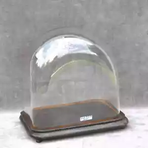 Antique french rectangular glass bell jar 12.20x 11.61 x 7.87" 31 x 29.5 x 20cm - Picture 1 of 11