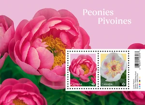 Canada - Peonies 2025 - Souvenir Sheet - Picture 1 of 1