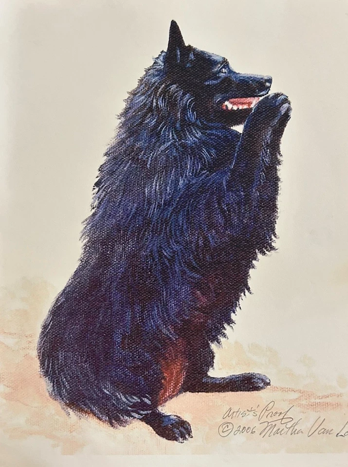 Цветная печать Schipperke от Martha Van Loan 8x10 - Изображение 1 из 1