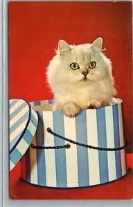 Cat - Kitten in the Hat Box - blue striped box -Vintage Postcard TT1 - Picture 1 of 2