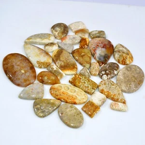 30Pcs 956Ct Natural Fossil Coral Loose Cabochon Gemstone Lot 55x30 14x11mm #3150 - Picture 1 of 6