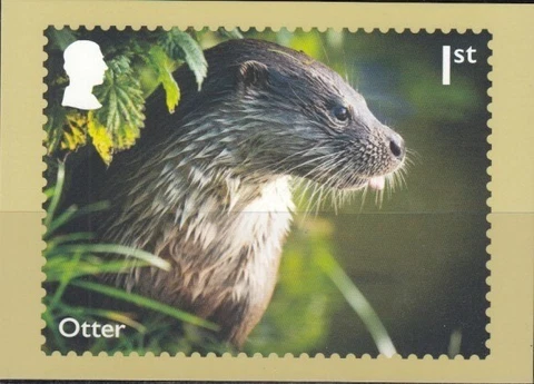 GREAT BRITAIN River Wildlife-Otter PHQ Card Cover