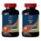 antioxidant organic - GREEN TEA LEAF EXTRACT 50% 300MG 2B - green tea and ginsen