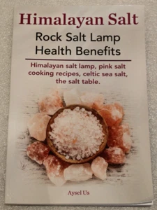 Himalayan Salt, Rock Salt Lamp Health Benefits - Aysel Us - 2014 PB Edition - Picture 1 of 6
