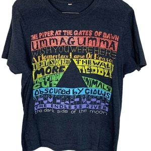 Pink Floyd Dark Side Unisex Gray Concert Tee Salvage Recycled Material - Picture 1 of 8