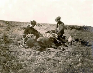 ANTIQUE HUNTING 8X10 REPRO PHOTO 2 BUFFALO HUNTERS SHARPS RIFLE # 2 - Picture 1 of 1