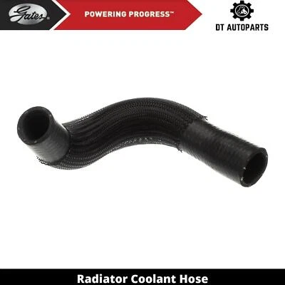 For 2011-2018 Dodge Journey Radiator Coolant Hose Lower - Pipe To Radiator Gates - Image 1 of 3