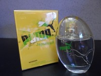 perfum puma jamaica