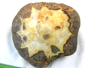 Septarian calcite geode polished 8x3.5" 8+#,s Utah free priority shipping su1 - Picture 1 of 4