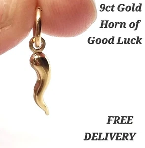 9ct Gold Pendant Horn of Good Luck Charm Jewellery New Stamped 375 - Picture 1 of 9