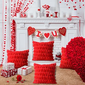 Valentine's Day Pillow Covers - Set of 2, Soft Velvet, Heart Decorative Cushion - Picture 1 of 8