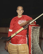 Roger Crozier - Red Wings, 8x10 Color Photo