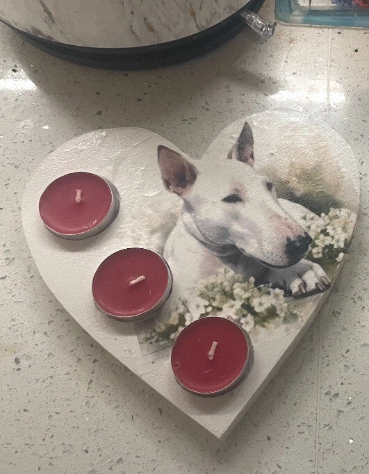 1 X Heart Shaped Tea Light Holders Decoupage  18mm MDF 20cms Bull Terrier - Image 1 of 1