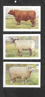 PLAYERS - British Livestock (Blue Back) - 1923 - Large Size 5 Cards + Dupe. VG. - Image 1 of 4