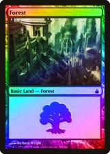 Forest (306) FOIL Ravnica: City of Guilds NM Basic Land MAGIC CARD ABUGames