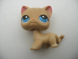 Hasbro Littlest PetShop PET SHOP #228 Katze EUROPÄISCH - Bild 1 von 2