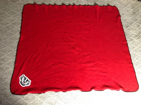 Wisconsin Badgers Red Fleece Throw Blanket Single Bucky Badger Patch I1 Cover