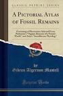 A Pictorial Atlas of Fossil Remains Consisting of