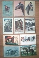 CARTOLINE D' EPOCA - CAVALLO - HORSE - LOTTO DI 33 PEZZI - OLD POSTCARD