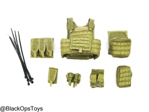 1/6 Scale Toy ODA SF Team Leader - FDE Tan MOLLE Plate Carrier w/Pouch Set - Picture 1 of 6