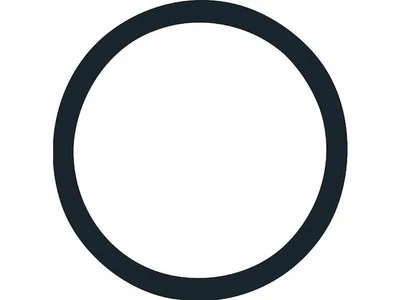 For 1997 Ford F150 Thermostat O-Ring Gates 52319ZJRS 4.2L V6 GAS Thermostat Seal Foto 1 de 2