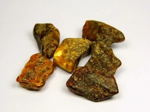 Lote de 6 Piedras Ámbar Báltico 25gr Multicolor Marrón Verde Negro Natural 6633 - Imagen 1 de 7