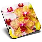 Square Single Coaster - Beautiful Orchid Flowers Tropical  #14339