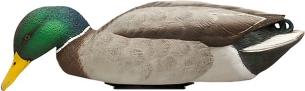 Avian X Power Sher Mallard Dre Surface Feeder Decoy, Synthetic: AVX-PSH-MDSF - Image 1 of 1