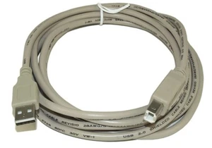 Cable de 10 pies USB 2.0 certificado 480 Mbps tipo A macho a B macho beige - Imagen 1 de 3