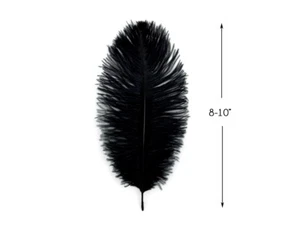 10 piezas - 8-10" Negro Avestruz Teñido Monótonos Plumas Halloween Baile de graduación Centro pieza - Imagen 1 de 11