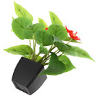 Plastik Knstliche Calla-Lilien Nachgeahmter Pflanzenbonsai