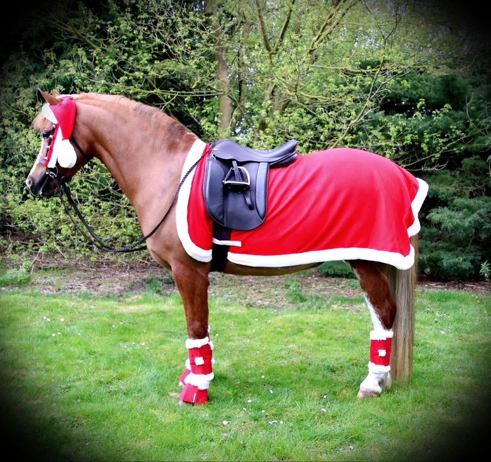 SANTA Horse Pony CHRISTMAS Exercise Sheet Antlers Leg Wraps Hat Fancy Dress Set - Image 1 of 2