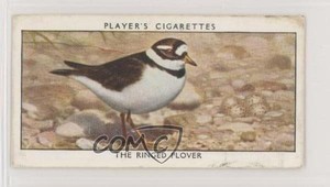 1932 Player's Wild Birds Tobacco The Ringed Plover #29 1i7