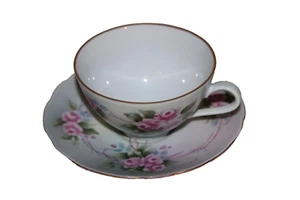 VTG DIADEM BAREUTHER WALDSASSEN BAVARIA GERMANY 154 CUP & SAUCER PINK ROSES - Picture 1 of 6