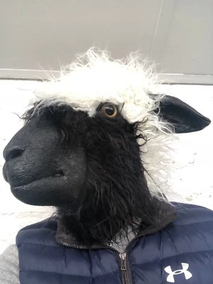 Woolly Sheep Head Mask Latex Full Head Farm Animal Shaun Masks Costume Accessory - Image 1 of 4