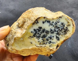 18,41 oz (522 gr) Dendritischer Opal grob, Dendritische Opalplatte, Lapidar Pfund - Bild 1 von 14