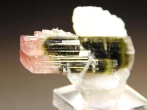 18.3 g Multi Color Double Terminated Tourmaline W/Albite, Legend Specimen mined - Picture 1 of 8