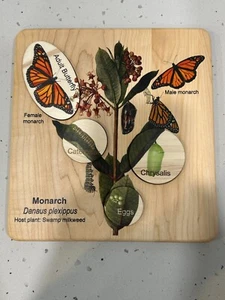 Wooden Monarch Butterfly Lifecycle Puzzle, 5 Pieces Handmade USD $39.95 - Picture 1 of 3