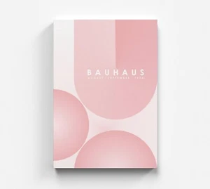 Quadro su tela Bauhaus astratto rosa arte moderna quadro da parete colorato arte quadro - Foto 1 di 7