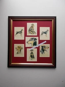 DOBERMANN TRADE CARDS GERAHMT - Bild 1 von 1