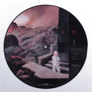 OINGO BOINGO Dark At The End Of The Tunnel MCA LP VG++/VG+ picture disc promo q - Picture 1 of 2