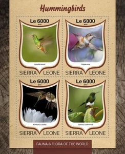 Hoja de estampillas de aves/pájaros de 4 valores sin montar o nunca montada #513 (Sierra Leona 2016) - Imagen 1 de 1