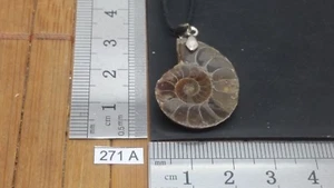 Collier AMMONITE + CORDON réglable pierres fossile mineraux lithotherapie reiki - Picture 1 of 1
