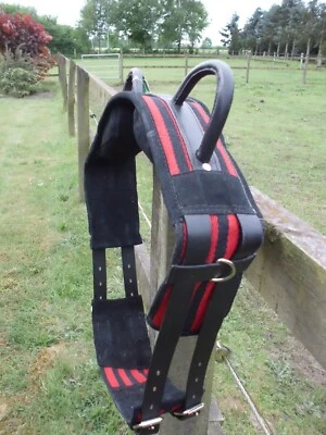 Voltigiergurt /Reithilfe mit zwei Haltegriffe Gr,Mini-Shetty ca.112-136 cm rot - Bild 1 von 3