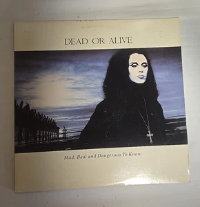 Dead Or Alive Mad Bad And Dangerous To Know 1986 Epic Records - Picture 1 of 13