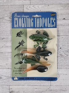Vintage Accoutrements Evolving Tadpoles 4 Stages 1995 Nature Fish Outdoors - Picture 1 of 3