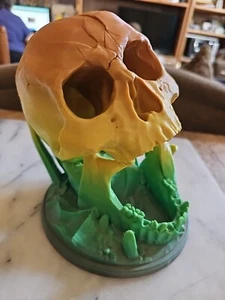 Skull Dice Tower | 3D Printed Dice Roller | Desert’s Kiss | DND , War Hammer - Picture 1 of 7