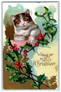 c1910's Christmas Holly Berries Cute Fat Cat Embossed Bamforth Antique Postcard - Picture 1 of 2